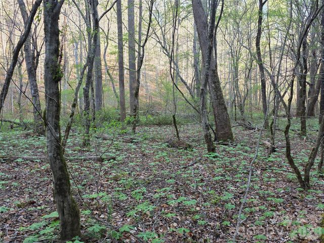 00 Mountain Creek Way, Marion, NC 28752