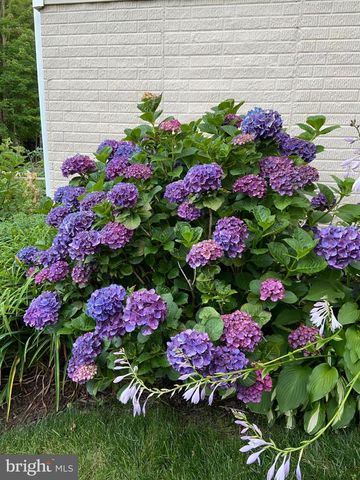 15281 BOWMANS FOLLY DR, Manassas, VA 20112