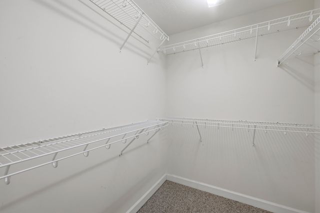 103 Wild Cherry Way, Frankfort, KY 40601