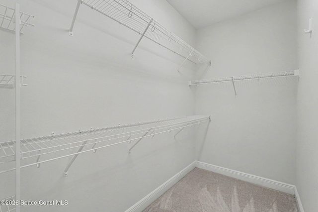 3119 Ribbon Grass Drive, Melbourne, FL 32940