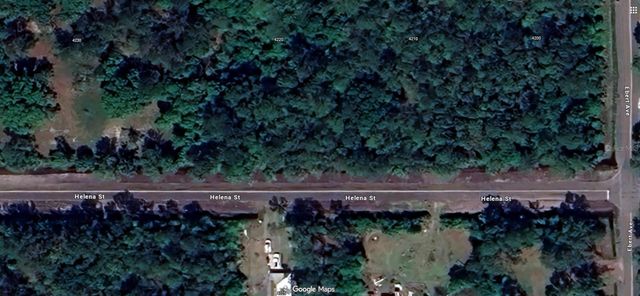 4220 HELENA STREET, Hastings, FL 32145