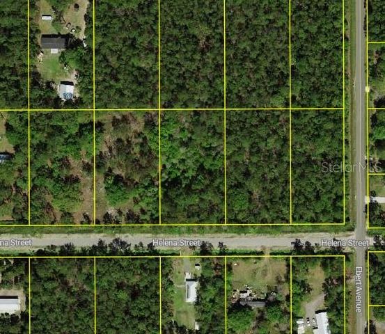 4220 HELENA STREET, Hastings, FL 32145