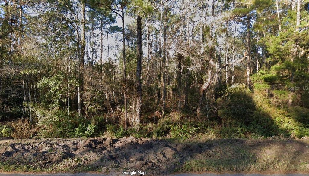 4220 HELENA STREET, Hastings, FL 32145