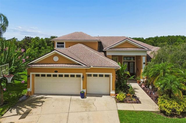 5303 CLOUDS PEAK DRIVE, Lutz, FL 33558