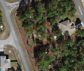 7085 N HENDERSON WAY, Dunnellon, FL 34434