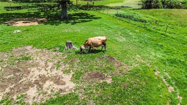 18040 E Holt Road, Lincoln, AR 72744