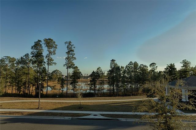 15133 SUMMER HARVEST STREET, Winter Garden, FL 34787