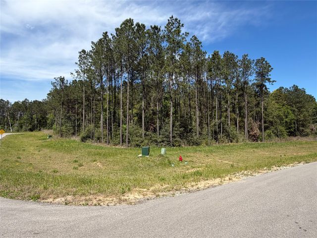 15648 Cricket Creek Court, Willis, TX 77378