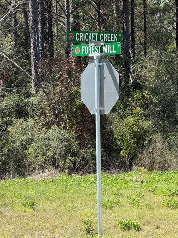 15648 Cricket Creek Court, Willis, TX 77378