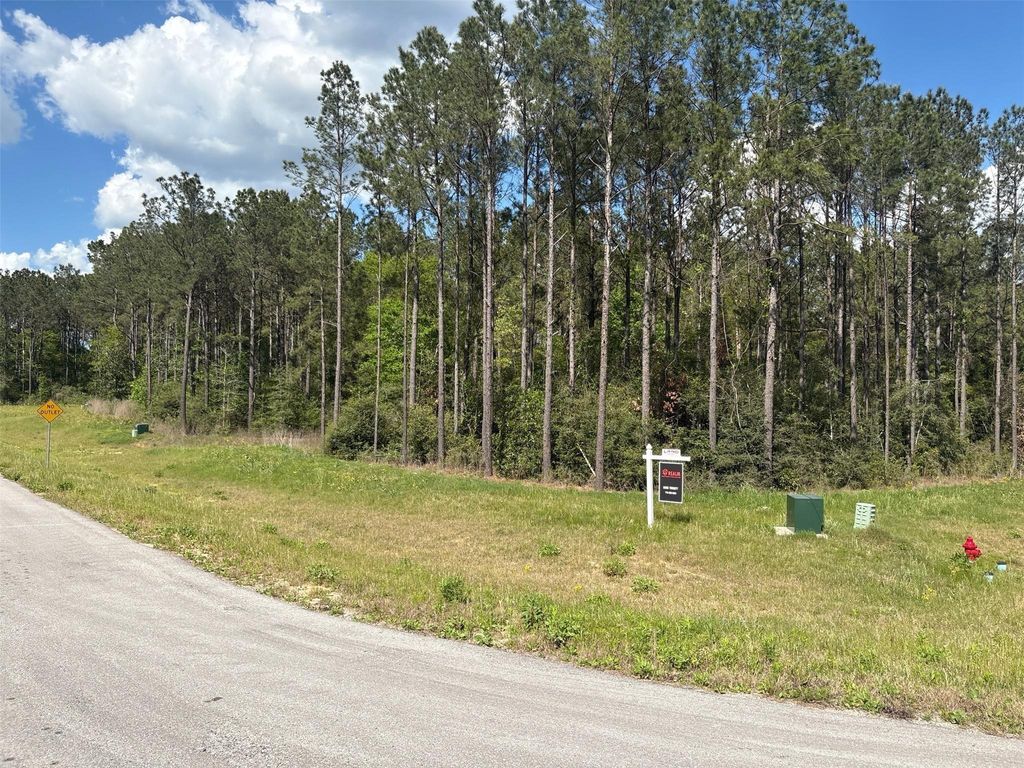15648 Cricket Creek Court, Willis, TX 77378