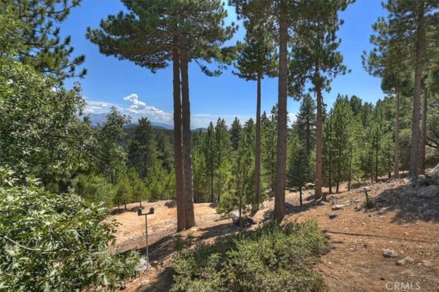 1781 Nob Hill, Running Springs, CA 92382