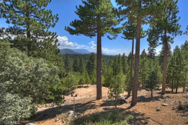 1781 Nob Hill, Running Springs, CA 92382