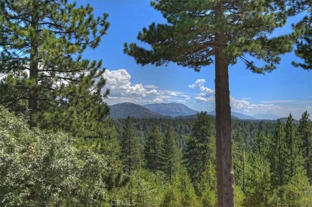 1781 Nob Hill, Running Springs, CA 92382