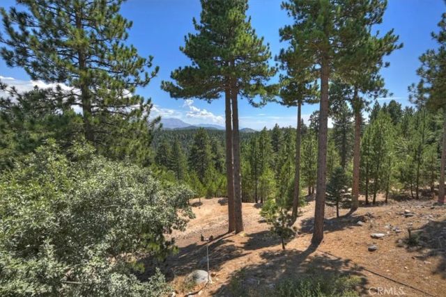 1781 Nob Hill, Running Springs, CA 92382