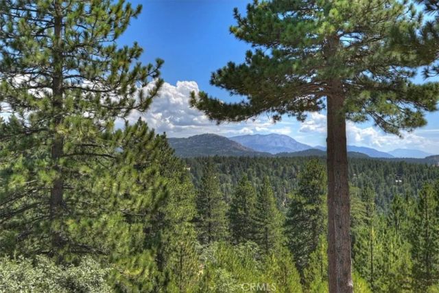 1781 Nob Hill, Running Springs, CA 92382