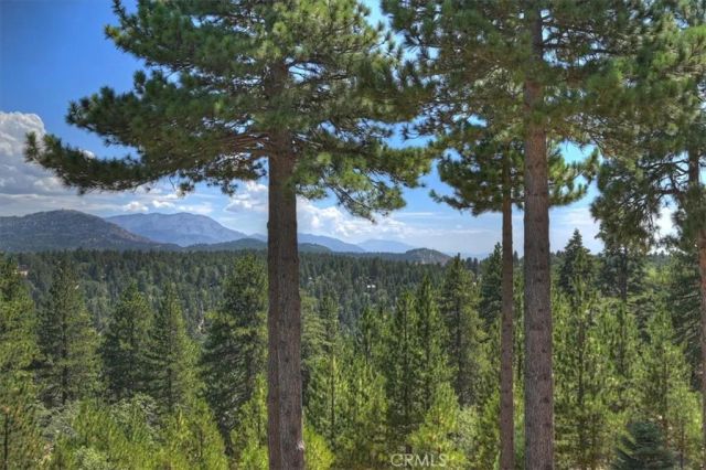 1781 Nob Hill, Running Springs, CA 92382