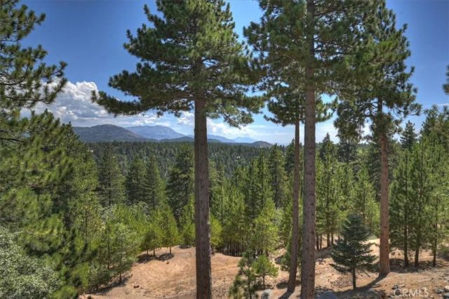 1781 Nob Hill, Running Springs, CA 92382