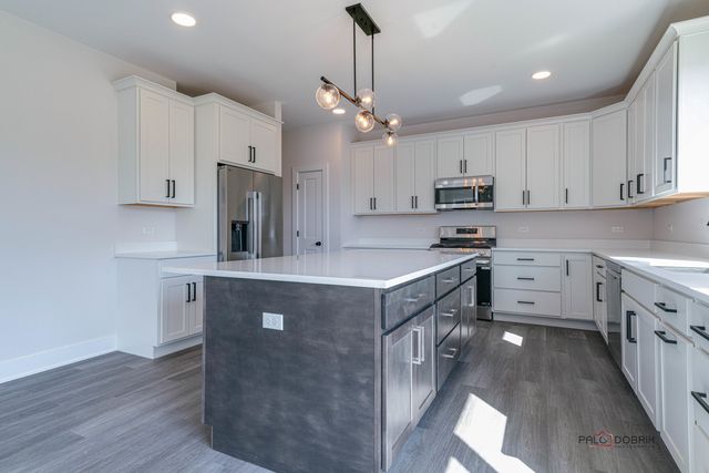 22144 W Casa Bella View, Kildeer, IL 60047