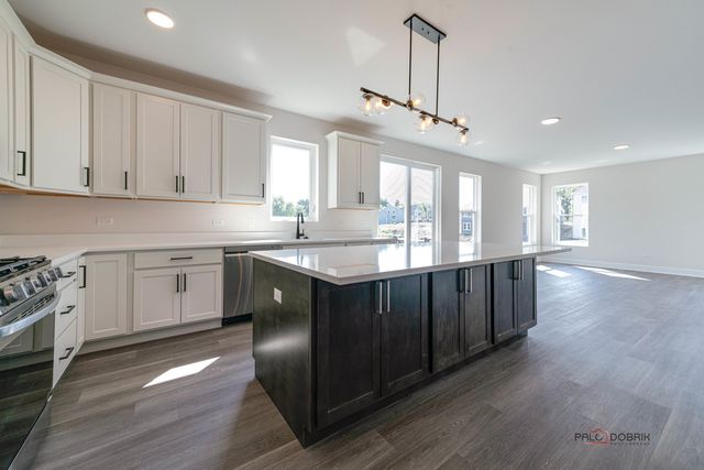 22144 W Casa Bella View, Kildeer, IL 60047