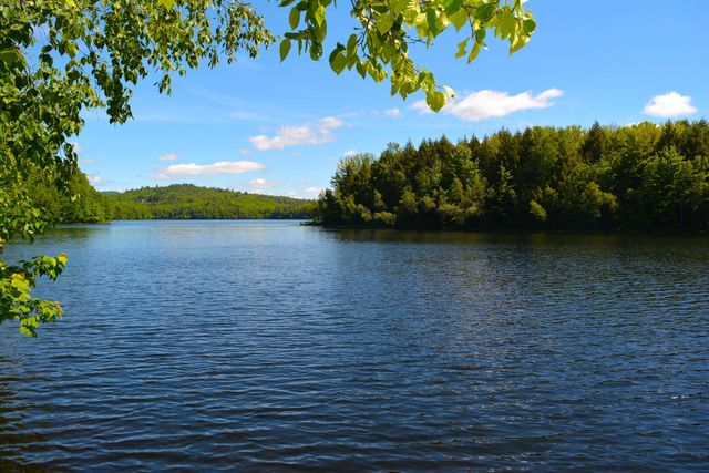14 Bay Tree Lane, Grantham, NH 03753