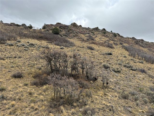 Lot 133 Griffiths Drive, Fort Garland, CO 81133