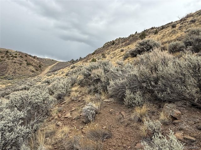 Lot 133 Griffiths Drive, Fort Garland, CO 81133