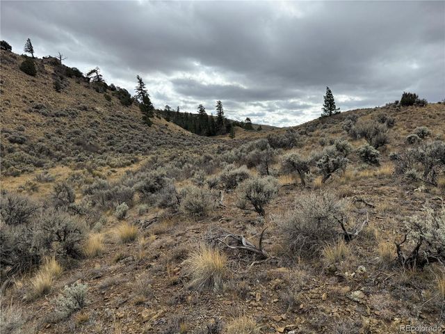 Lot 133 Griffiths Drive, Fort Garland, CO 81133