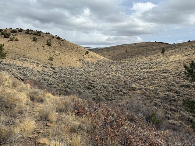 Lot 133 Griffiths Drive, Fort Garland, CO 81133