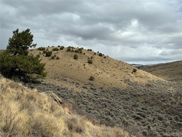 Lot 133 Griffiths Drive, Fort Garland, CO 81133