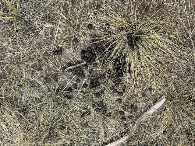 Lot 133 Griffiths Drive, Fort Garland, CO 81133