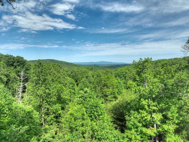 54 Channing Hollow, Morganton, GA 30560