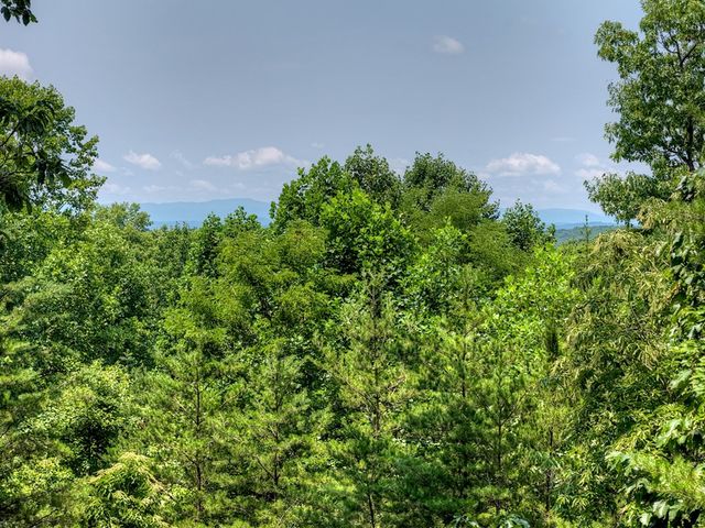 54 Channing Hollow, Morganton, GA 30560