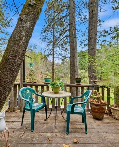 23325 Tree Farm Rd, Colfax, CA 95713