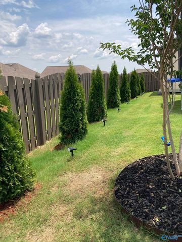 107 Donovan Drive, Madison, AL 35756