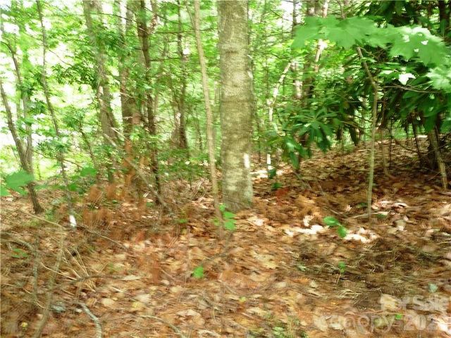 360 Kenmure Drive 4, Flat Rock, NC 28731