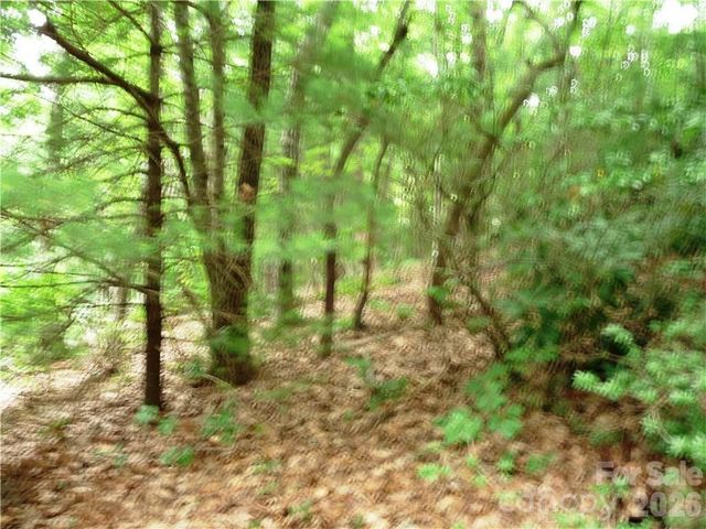 360 Kenmure Drive 4, Flat Rock, NC 28731