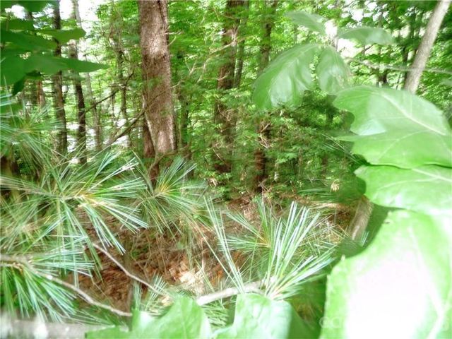 360 Kenmure Drive 4, Flat Rock, NC 28731