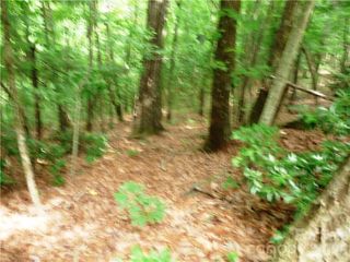 360 Kenmure Drive 4, Flat Rock, NC 28731
