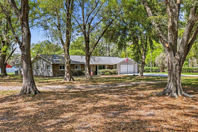 19706 ANGEL LANE, Odessa, FL 33556