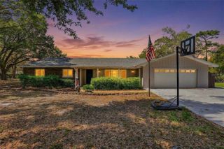 19706 ANGEL LANE, Odessa, FL 33556