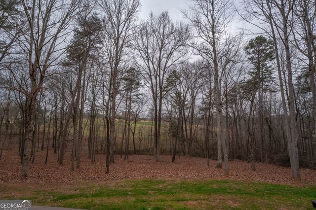 712 Meadow Run Court, Clarkesville, GA 30523