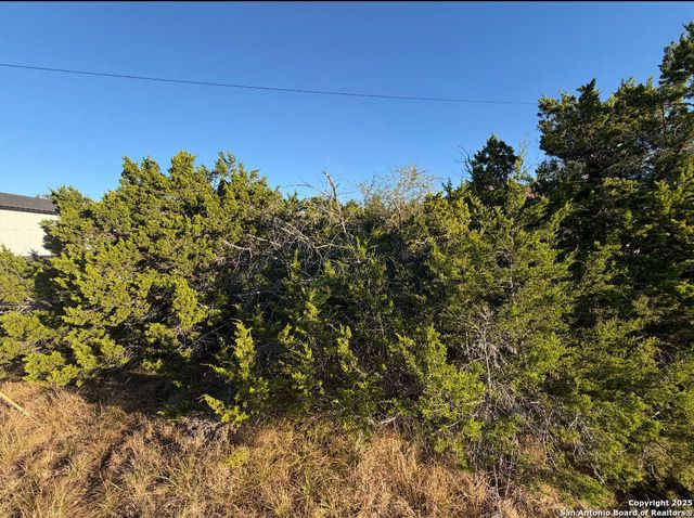 1343 Rimrock, Spring Branch, TX 78070