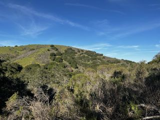 0 Bartlett Way, Belmont, CA 94002