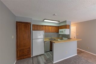 9805 Walnut Street 305 C, Dallas, TX 75243