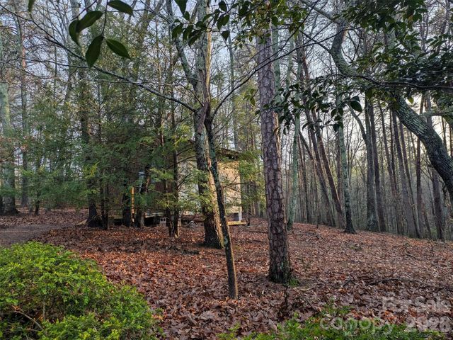 675 Fox Run Lane, Tryon, NC 28782