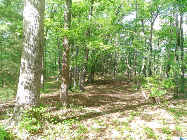 12156 DAVIS CREEK ROAD, Mccalla, AL 35111