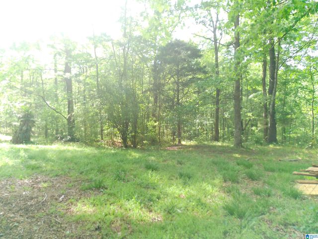 12156 DAVIS CREEK ROAD, Mccalla, AL 35111