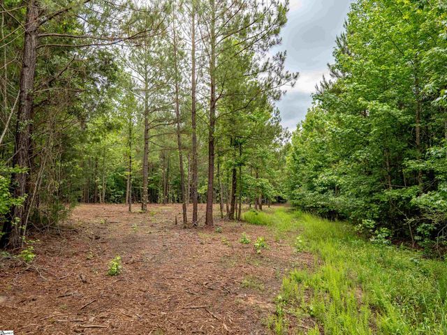 00 Terry Road Lot 4, Fountain Inn, SC 29644