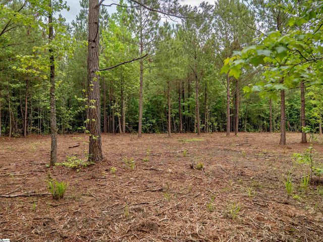 00 Terry Road Lot 4, Fountain Inn, SC 29644