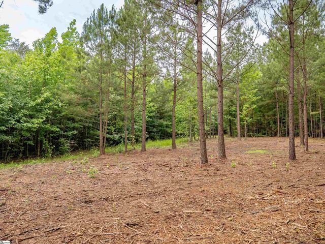 00 Terry Road Lot 4, Fountain Inn, SC 29644